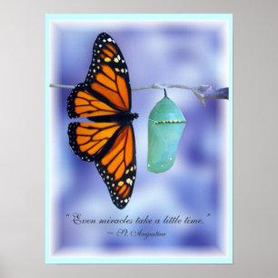 Miracle Print