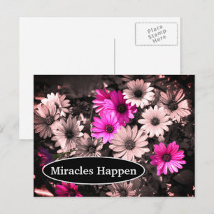 Miracles Happen Daisies Inspirational Postcard