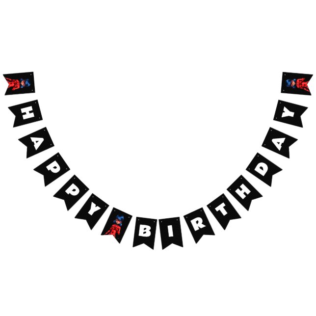 Miraculous Ladybug Birthday Bunting Flags (All)