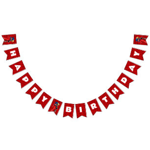 Miraculous Ladybug & Cat Noir Birthday Bunting Flags