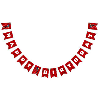 Miraculous Ladybug & Cat Noir Birthday Bunting Flags