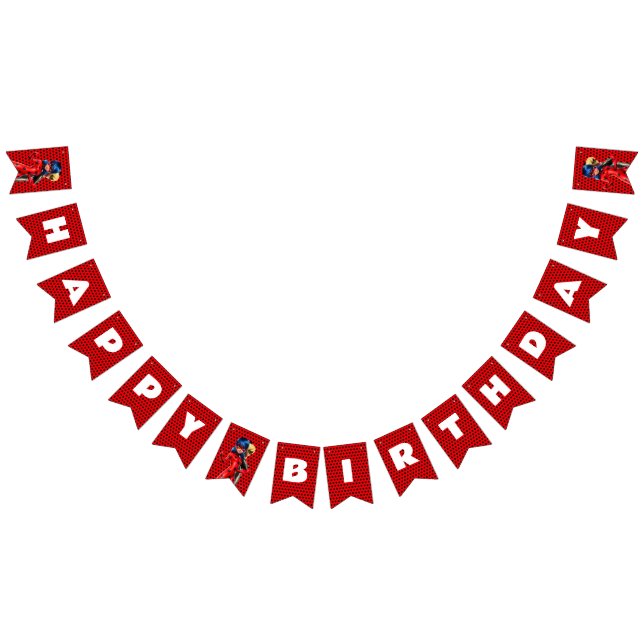 Miraculous Ladybug & Cat Noir Birthday Bunting Flags (All)