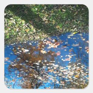 Miroir Mirror Autumn Thanksgiving Sticker