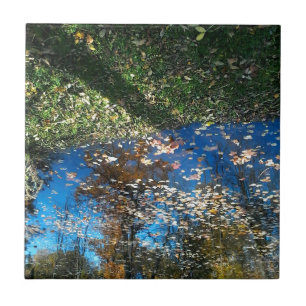 Miroir Mirror Autumn Tile