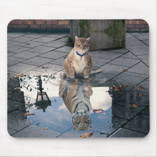 Mirror cat mouse pad