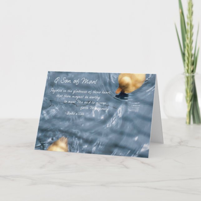 ...mirror forth My beauty - Ducks Card (Front)