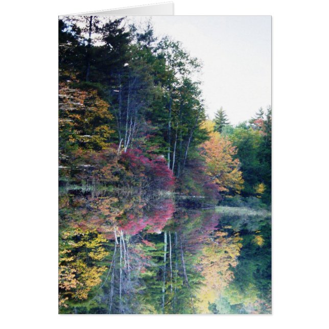 "Mirror Image" (Front)