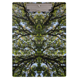 Mirror image trees clipboard