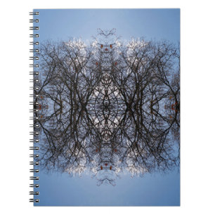 Mirror image trees notebook