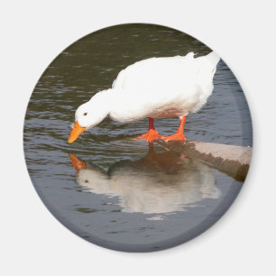 Mirror Mirror Magnet