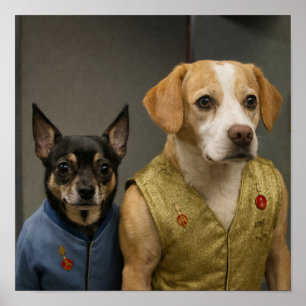 "Mirror, Mirror" Poster