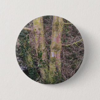 Mirror trees badge 2 inch round button
