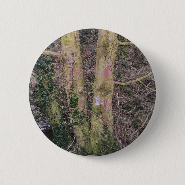 Mirror trees badge 2 inch round button (Front)