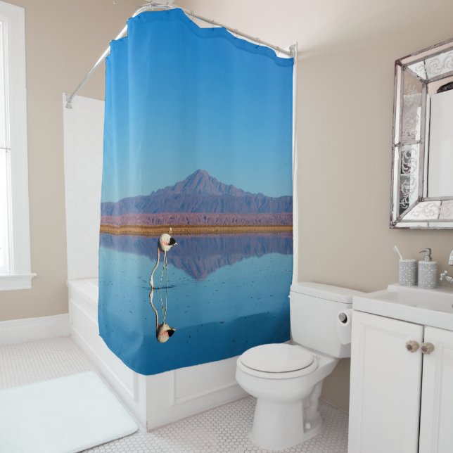 Mirrored Flamingo (In Situ)