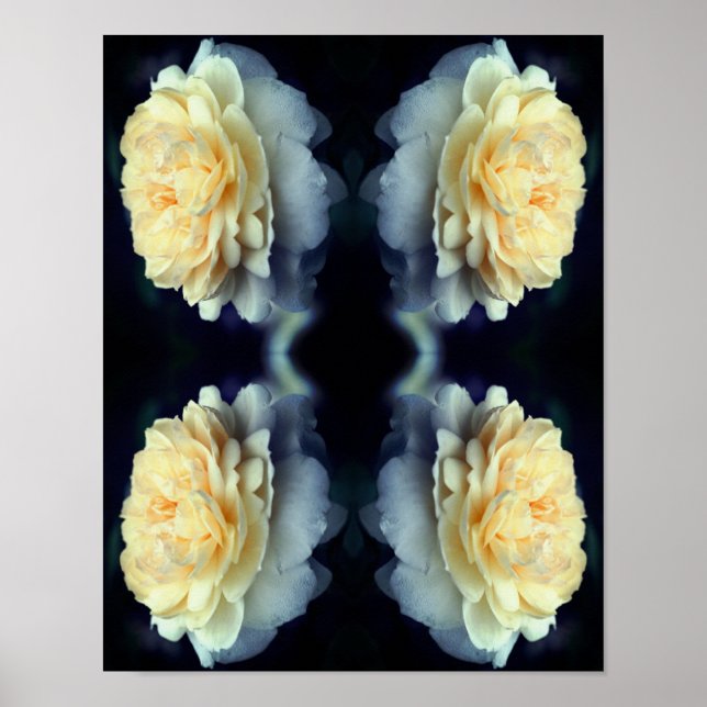 Mirrored Yellow Rose In Bloom Abstract  Poster (Front)