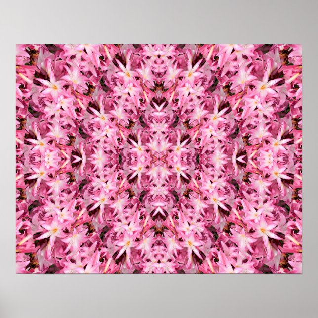 Mirrors of Amaryllis.... Poster (Front)