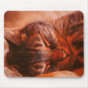 Mischief Free Mouse Pad