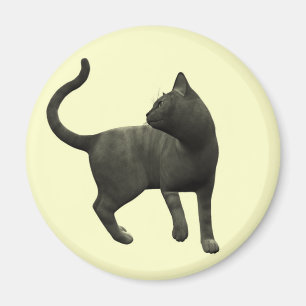 Mischievous Black Cat Magnet