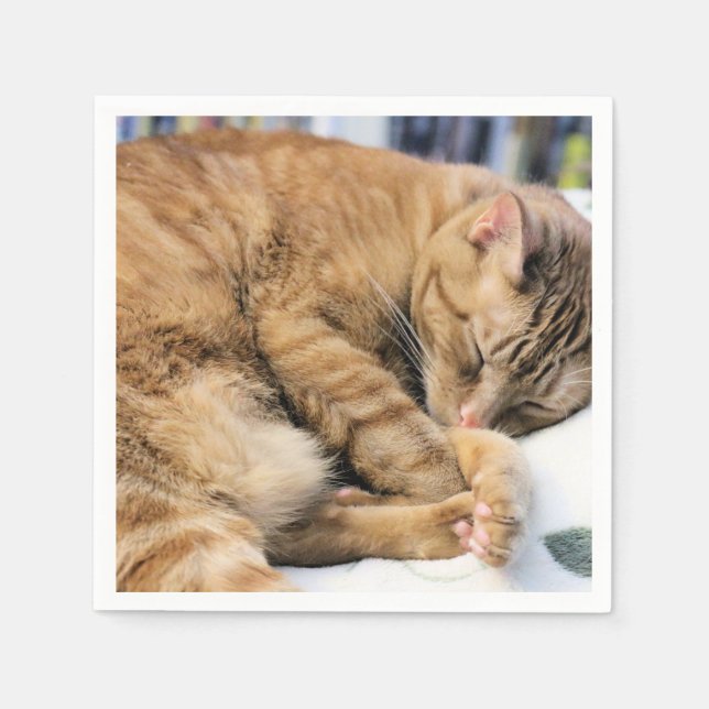 Mischievous interrupted napkin (Front)
