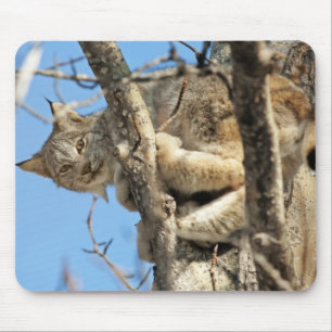 Mischievous Lynx Mouse Pad