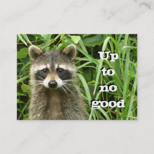 Mischievous Raccoon Business Card