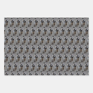 Mischievous Raccoon   Wrapping Paper Sheet