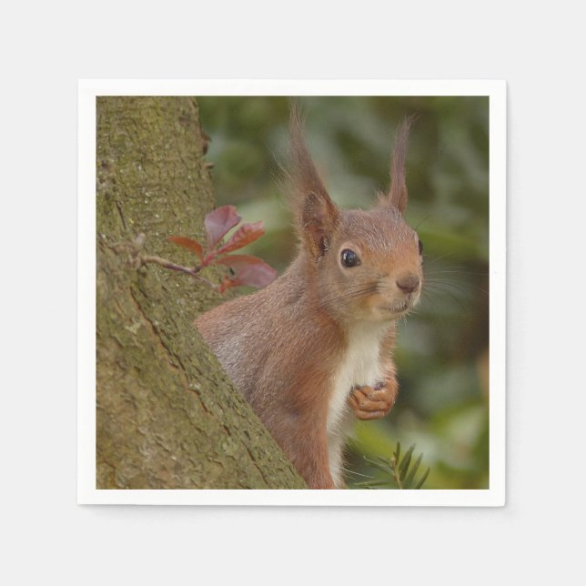 Mischievous Red Squirrel Napkin (Front)