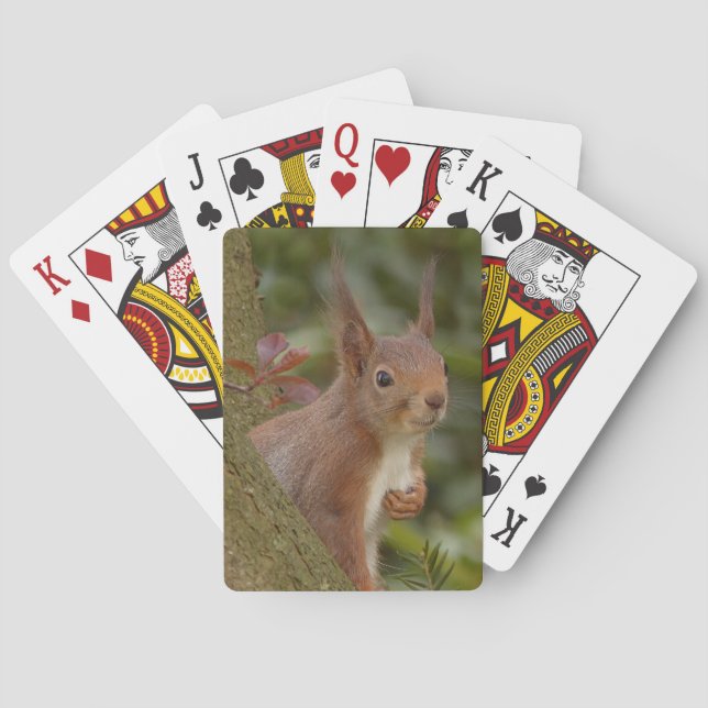 Mischievous Red Squirrel Playing Cards (Back)