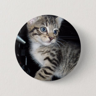Mischievous Tabby Kitten, 2 Inch Round Button