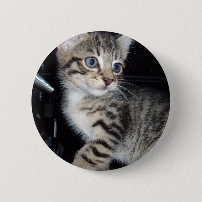Mischievous Tabby Kitten,  2 Inch Round Button (Front)