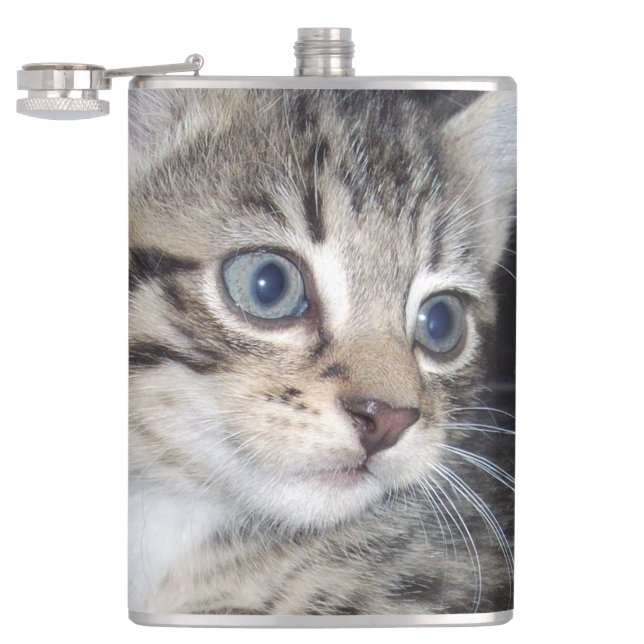 Mischievous Tabby Kitten,  Hip Flask (Opened)