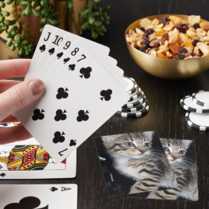 Mischievous Tabby Kitten, Playing Cards