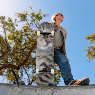 Mischievous Tabby Kitten, Skateboard