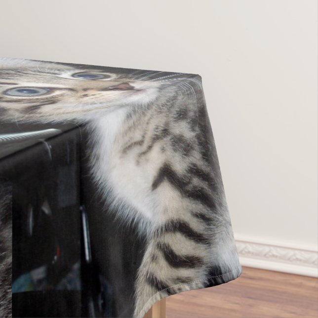 Mischievous Tabby Kitten,  Tablecloth (In Situ)