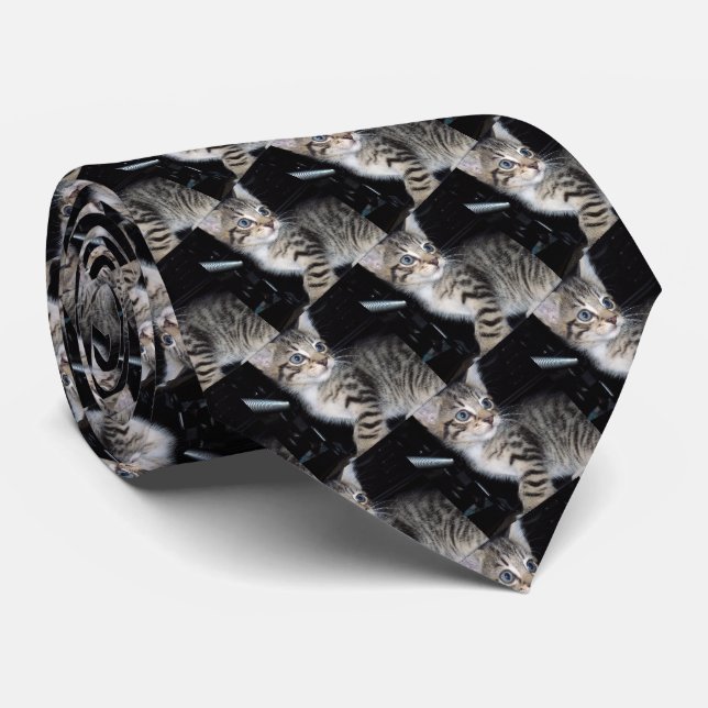 Mischievous Tabby Kitten, Tie (Rolled)