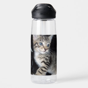 Mischievous Tabby Kitten, Water Bottle
