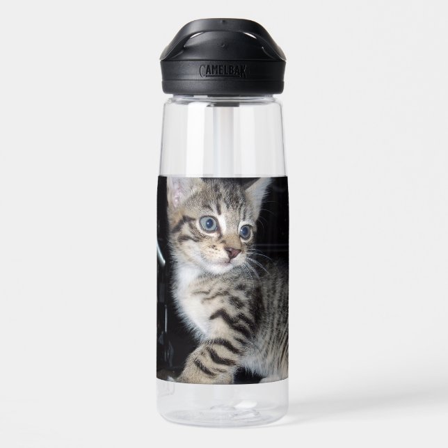 Mischievous Tabby Kitten,  Water Bottle (Back)
