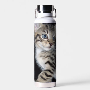 Mischievous Tabby Kitten, Water Bottle