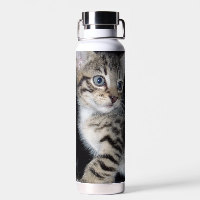 Mischievous Tabby Kitten,  Water Bottle (Back)