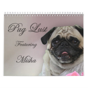 Misha pour la convoitise de carlin, calendrier de