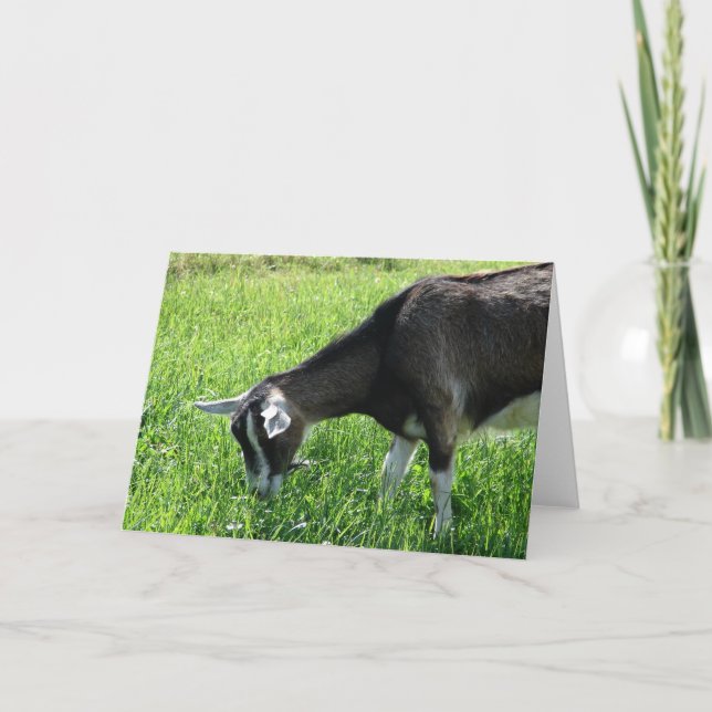 Misha the Goat Card (Front)