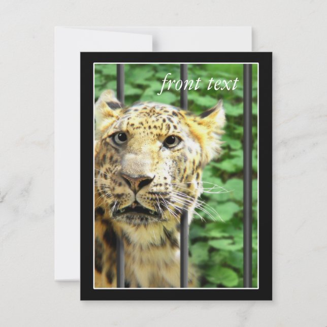 Mishap at the Zoo Invitation (Front)