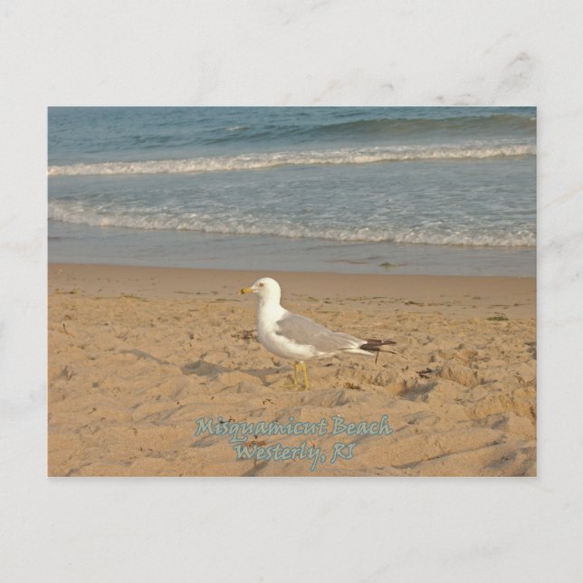 Misquamicut Beach Postcard (Front)