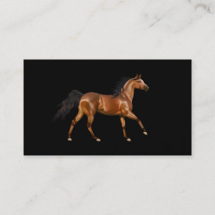 Miss America Rodeo Horse Cartes de visite