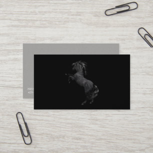 Miss America Rodeo Horse Cartes de visite