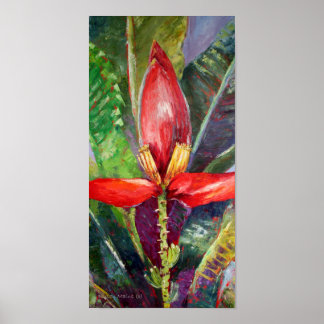 Miss Antigua Poster