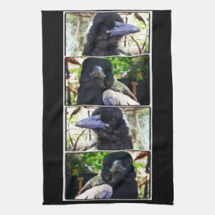Miss Bub rescued Australian Magpie Kitchen Towel
