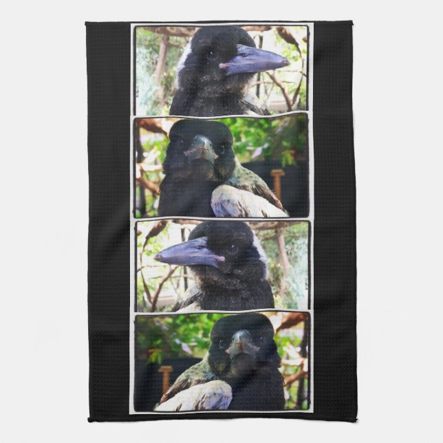 Miss Bub rescued Australian Magpie Kitchen Towel (Vertical)