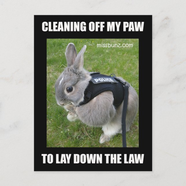 Miss Bunz Cleaning Paw Postcard (Front)