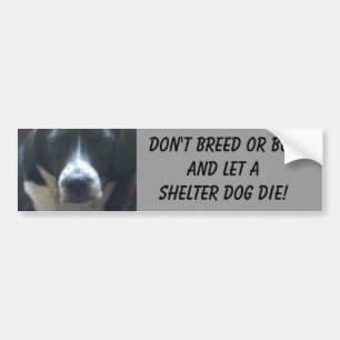 Miss Gwen Bumper Sticker